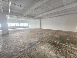 Perfect One (D13), Warehouse #567503841